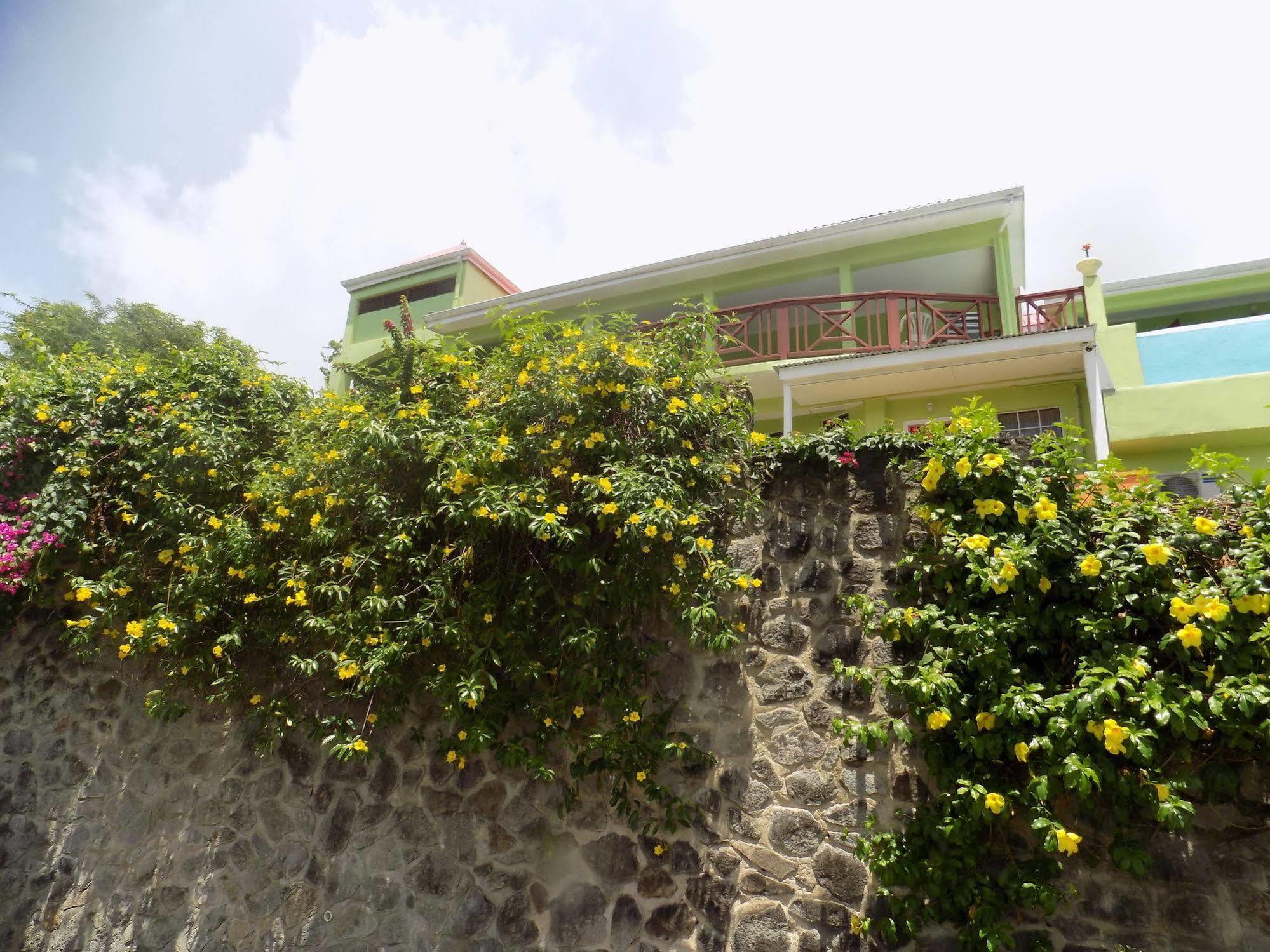 Tropical Paradise View Anse La Raye エクステリア 写真